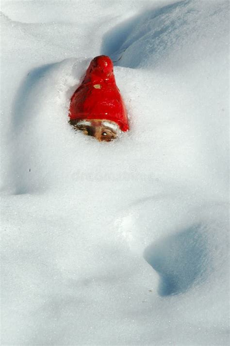 Garden Gnome In Snow Royalty Free Stock Photo Image 8647275
