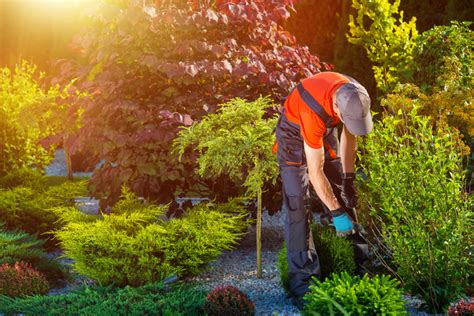 6 Benefits Of Hiring A Professional Landscaping Services Webku