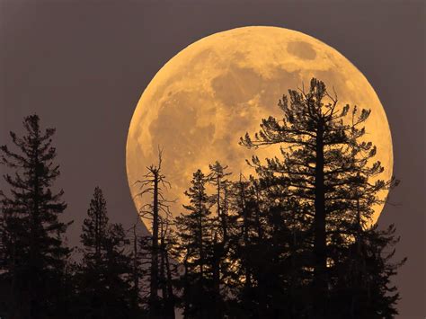 Supermoon Tonight Will Be Biggest And Brightest Full Moon Of 2023 So Far