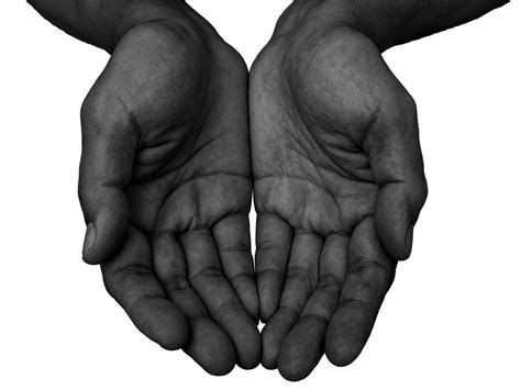Cupped Hands Png Png Image Collection