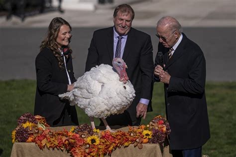 biden pardons turkeys chocolate and chip for thanksgiving the times of israel