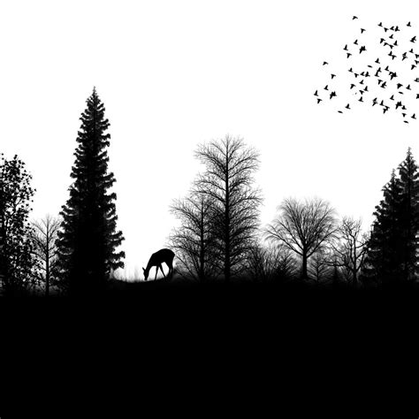 Silhouette Landscape Birds · Free Image On Pixabay