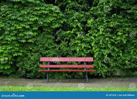 Red Bench Stock Image Image Of Bench Bushes Tree Relax 241325