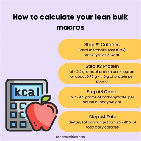 Macros For Lean Bulk How To Gain Muscle Without Gaining Fat
