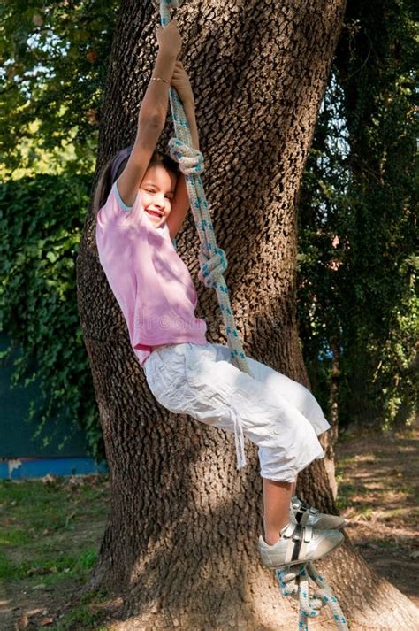 Girl Climbing On A Tree Stock Photo Image Of Children 41032306
