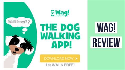 Sends a notification to your phone, so you can track that walk through gps and the app's puppy tracker feature. Wag Dog Walking Review Dog Walking App Wag! On Demand Dog ...