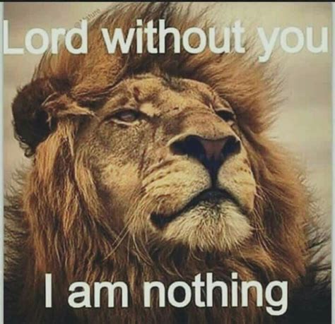 Pin By Df On My God Is Awesome Lion Quotes Inspirational Quotes