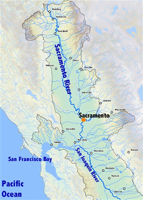 Gelbe karte (sacramento r.) formella sacramento r. The Sushi Project: Farming Fish And Rice in California's ...