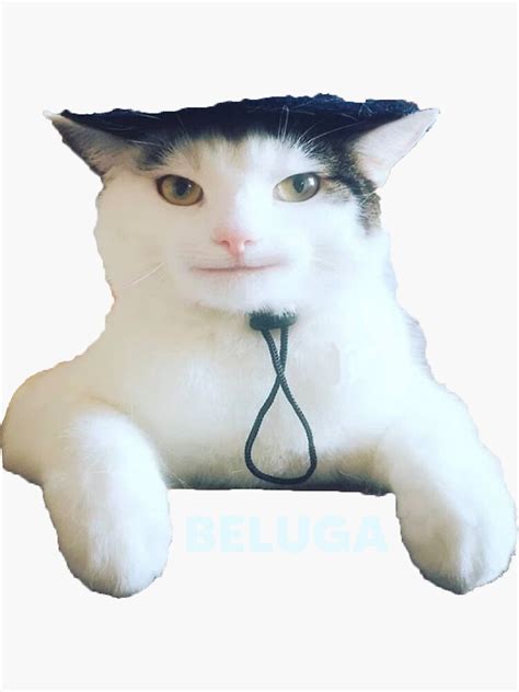 Pegatina Beluga Cat Discord Pfp Camiseta Esencial De Your New Vision