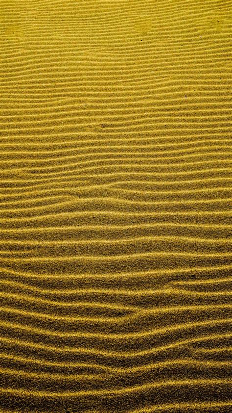 Free Images Beach Nature Wood Texture Leaf Desert Floor Wind