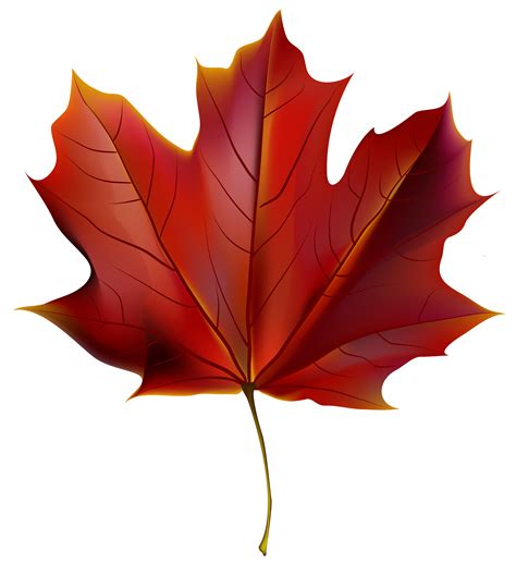 Beautiful Red Autumn Leaf Png Clipart Image Gallery Yopriceville