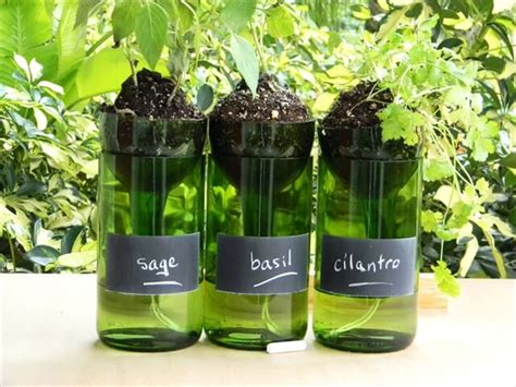 16 Recycled Bottle Planters