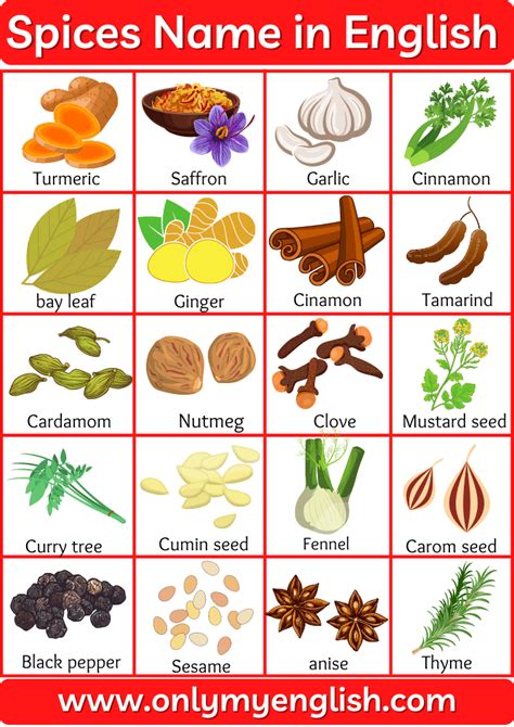50 Spices Name In English With Pictures