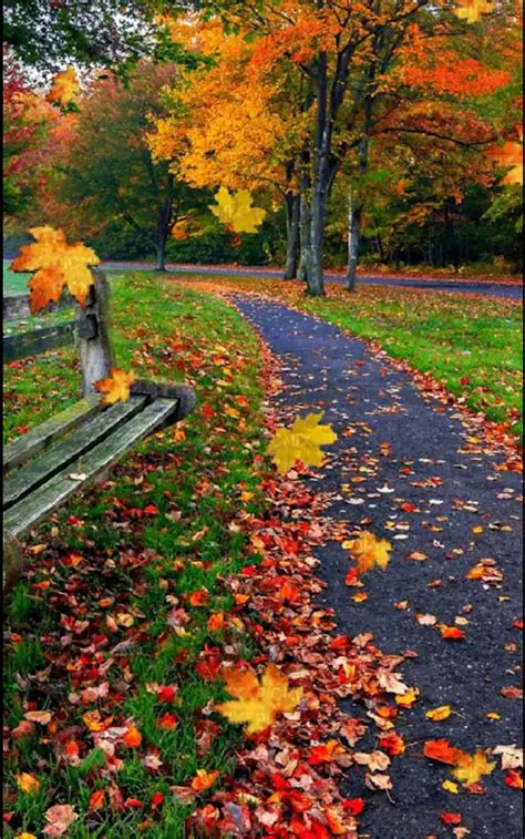 Sign In Autumn Landscape Beautiful Landscapes Autumn Scenery