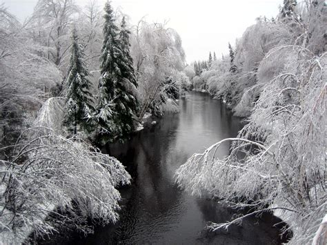 Winter Wonderland Winter Scenes Great Places Nature
