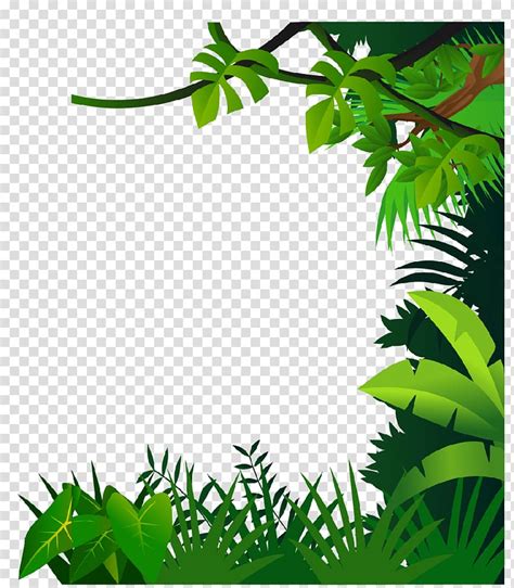 Rainforest Border Clipart 10 Free Cliparts Download Images On