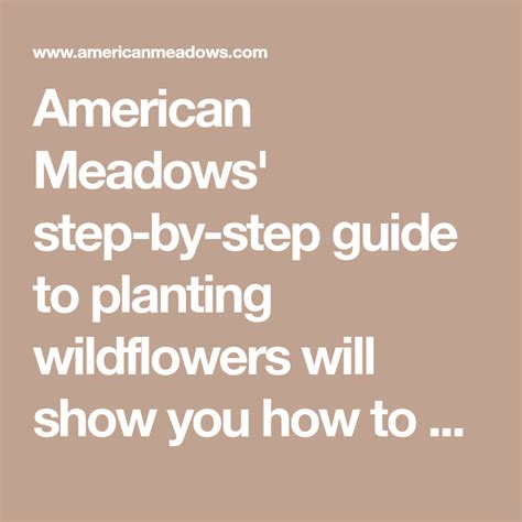 Planting Wildflowers American Meadows American Meadows Wild