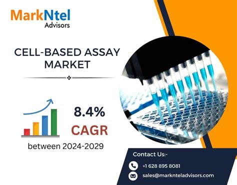 Cell Based Assay Market Share Size Trends Under Covid 19