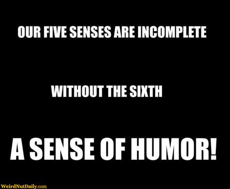 The notion of a sense of humor is ancient, a topic considered by greek philosophers. Funny Pictures @ WeirdNutDaily - A Sense of Humor!