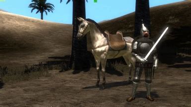 Sipahi At Mount Blade Warband Nexus Mods And Community