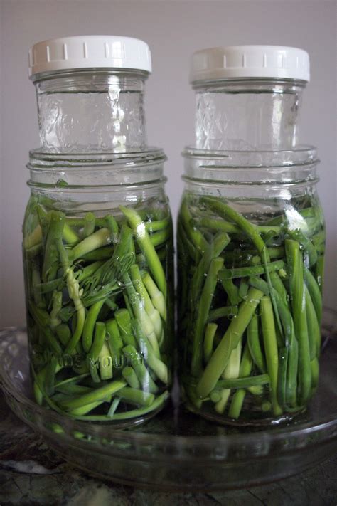 Pickled Garlic Scapes And Beans Story Cooking