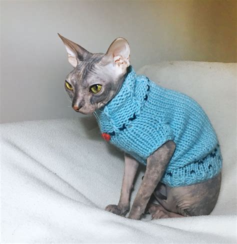 kitten-clothes-sphynx-sweater-sphynx-cat-clothes-etsy-kitten-clothes,-cat-sweaters,-cat-clothes