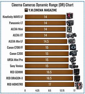 Cinema Cameras Dynamic Range Comparison Paycheck Stops Quot Vs Gravy