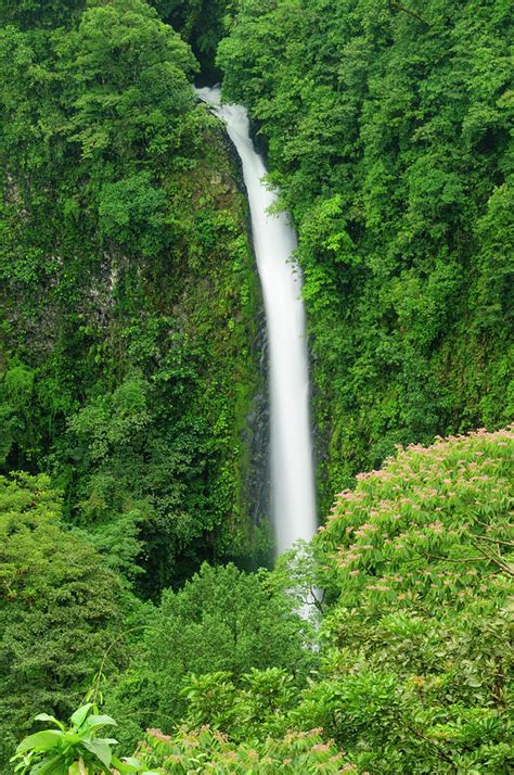Waterfall In A Tropical Rainforest Photograph By Ogphoto Fine Art America