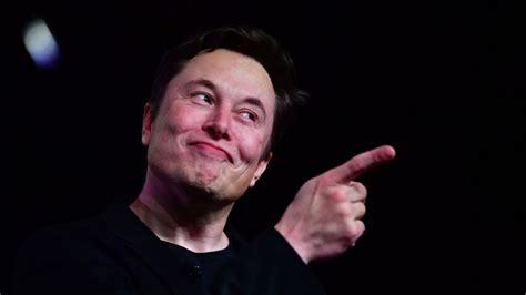 Elon Musk Calls Shelter In Place Measures Forcibly Imprisoning The Population On Earnings Call