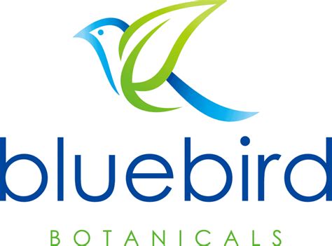 Bluebird Botanicals Cbd Vape Oil Worth The Money Vapor Vanity