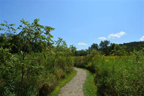 Long Shot Of A Dirt Path Through Tall Grasses On A Prairie In The