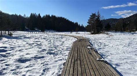 Riserva Naturale Di Pian Di Gembro Escursioni Ad Aprica In Inverno