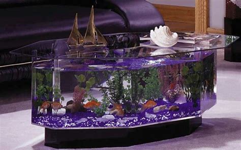 134 Best Fish Tanks Images On Pinterest