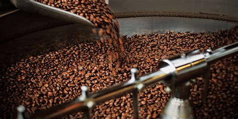 Coffee sacks to tote bags, aprons to sage machines, if this pe. The Ingredients | Starbucks Coffee Company
