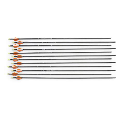 12 Gold Tip™ Trophy Hunter Hp Arrows 177218 Arrows And Shafts At