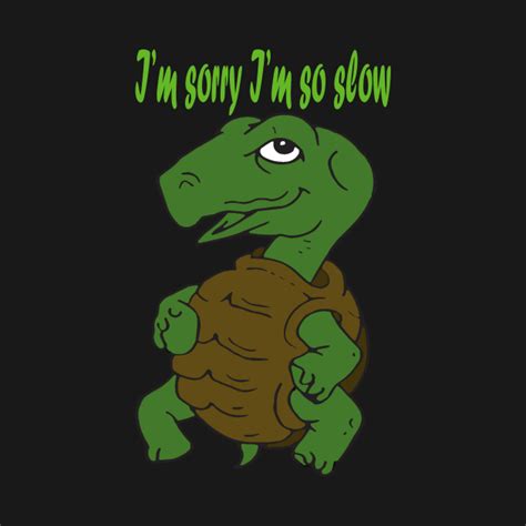 Im Sorry Im So Slow Turtle T Shirt Teepublic