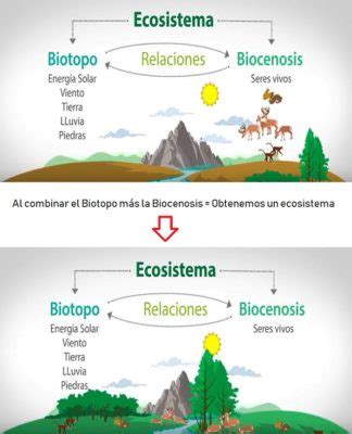 Ecosistema Qué es tipos y 101 ejemplos OVACEN