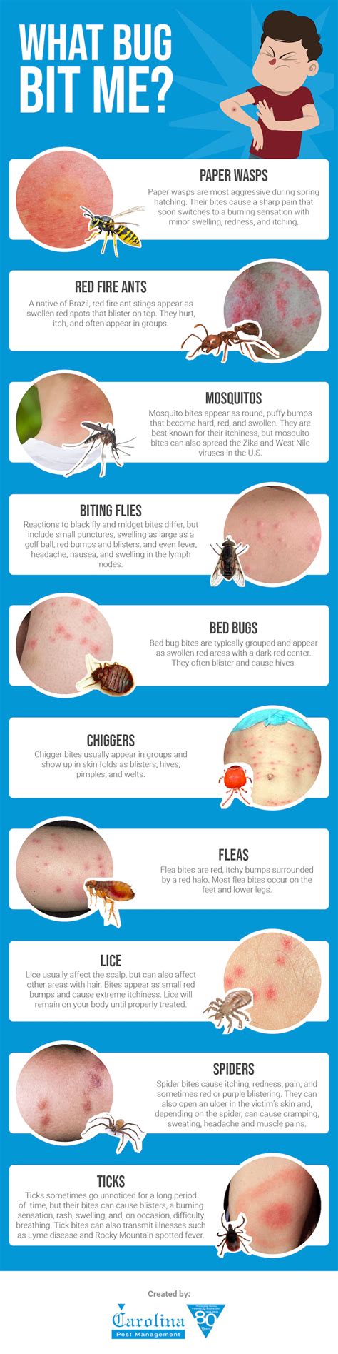 What Bug Bit Me Carolina Insect Control Tips Carolina Pest Bed Bug