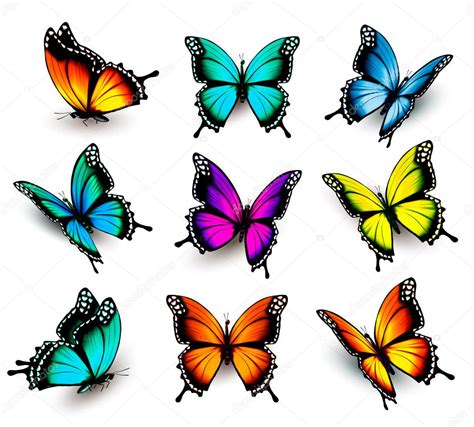 Collection Of Colorful Butterflies Flying In Different