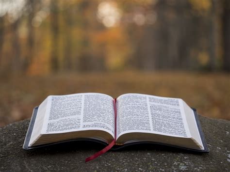 350 Best Open Bible Pictures Hd Download Free Images On Unsplash