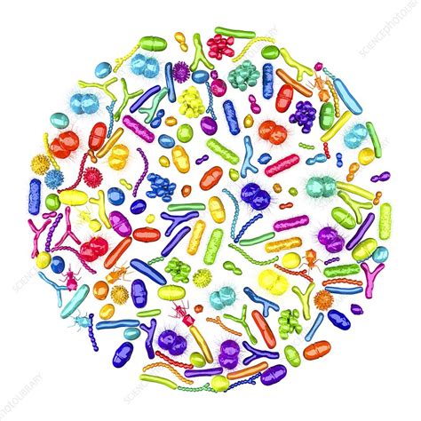 Microbes Illustration Stock Image C0487111 Science Photo Library