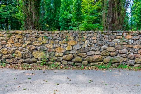 Premium Photo Forest Path With Old Stone Wall With Moss And Vegetation