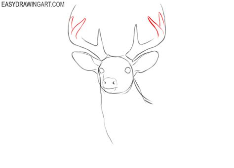 How To Draw A Deer Head Easy Drawing Art