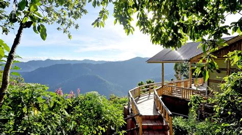 Stay At Nkuringo Bwindi Gorilla Lodge And Trek Gorillas In Rushaga