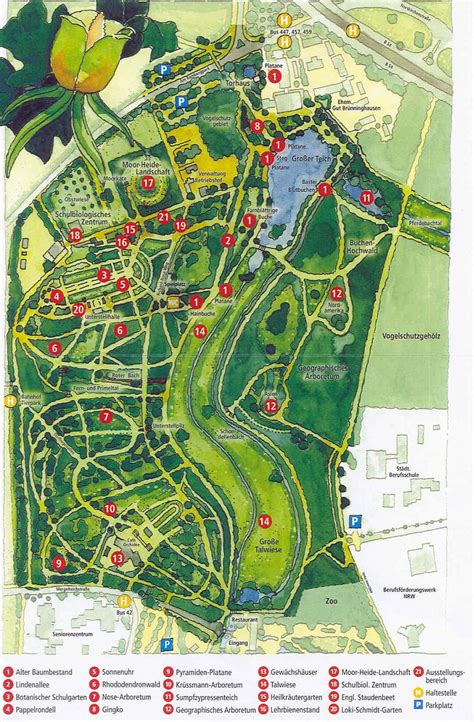 We did not find results for: Freunde und Förderer des Botanischen Gartens Rombergpark e ...