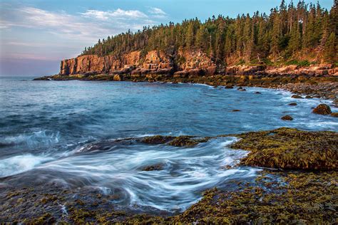 Sunrise At Otter Cliffs Acadia National Park Maine Photograph By Dave