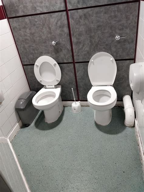 There Are Two Toilets In This Cubicle In The Ladies In This Student