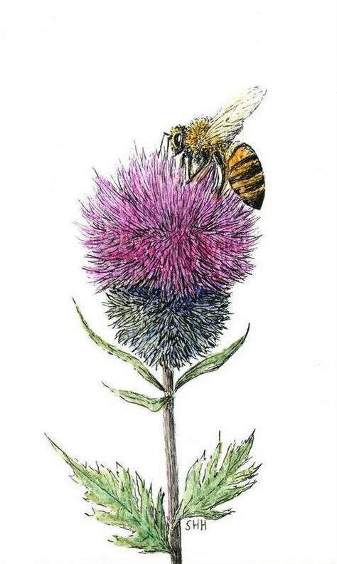 Download in under 30 seconds. Bee and thistle. … | Thistles art, Scottish tattoos, Bee art