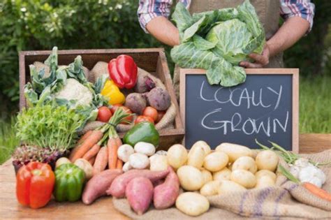 5 Benefits Of Eating Locally Grown Produce Diana Gregory Outreach