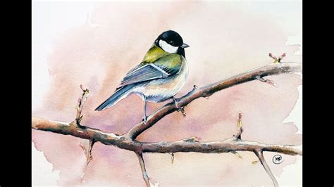 Watercolor Bird On A Tree Painting Demo Youtube